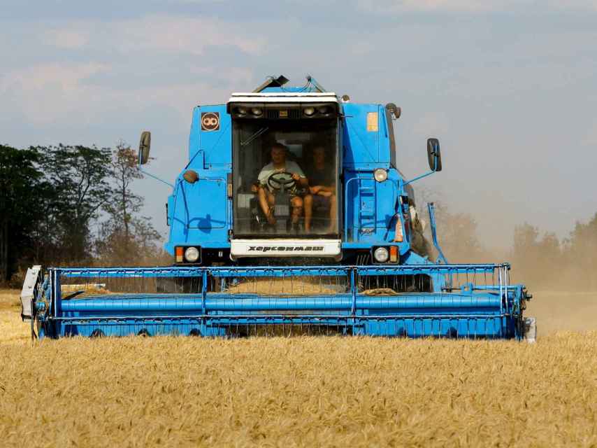 La résurgence des céréales forcées en Ukraine au milieu des