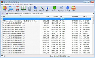 Capture d'écran de l'archive RAR qui contenait 90 vidéos volées. Source : bleepingcomputer