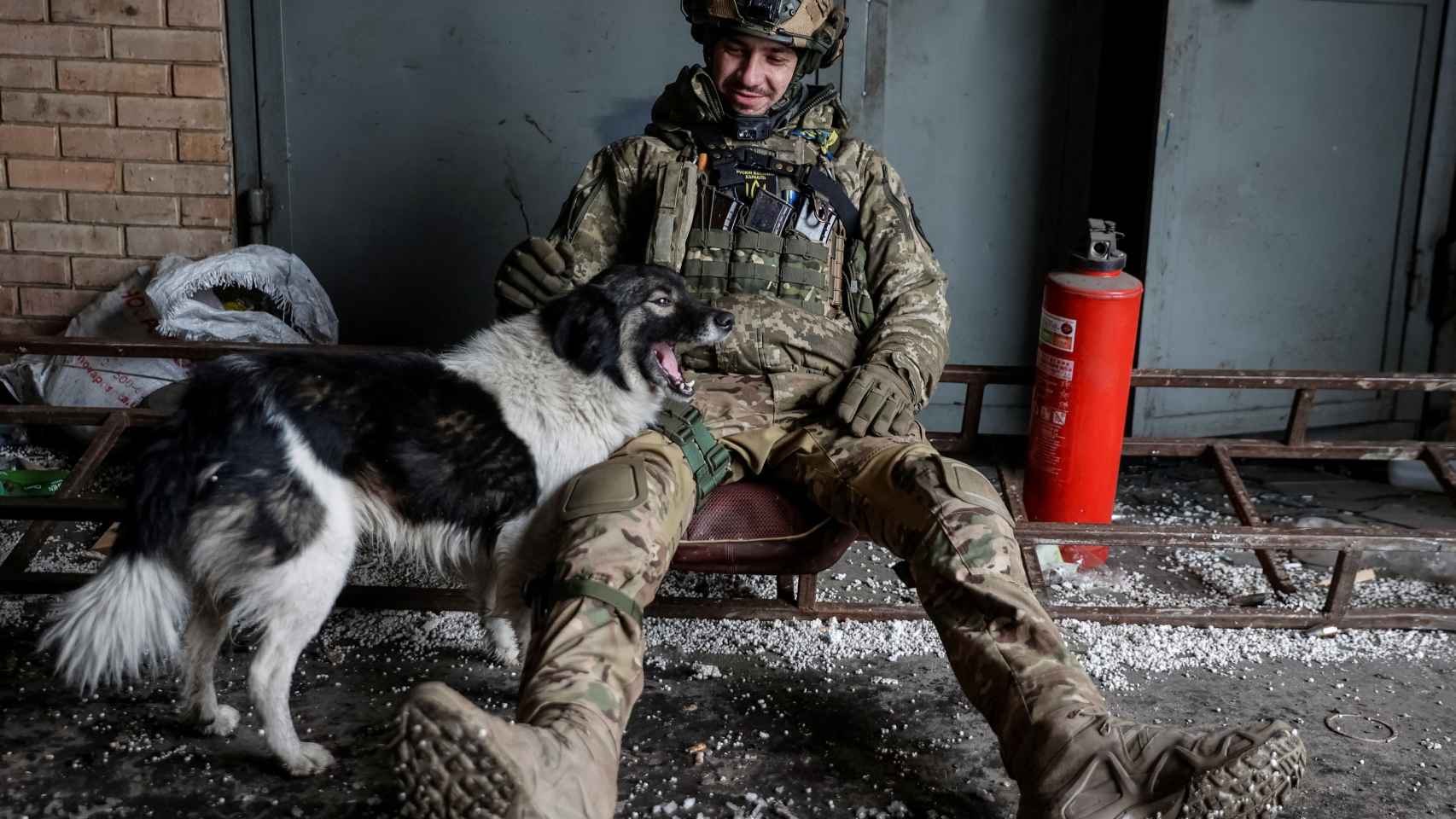 Un soldat ukrainien salue un chien à Bakhmut.
